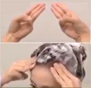「イカ」の手の形